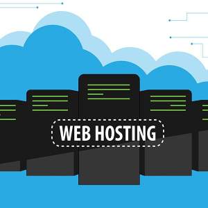 Choose Cheap Web Hosting That Meets Your Needs!!